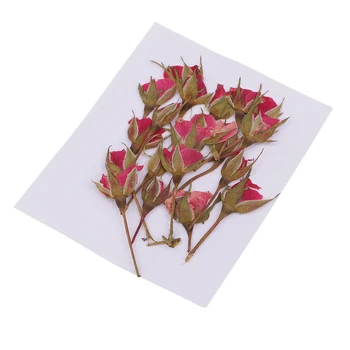 20 Броя Естествени Пресовани Истинските Цветове на Рози Цвете Сушена Цвете САМ Изкуство